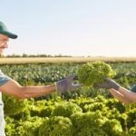 Fruit Farm Worker Jobs in Canada